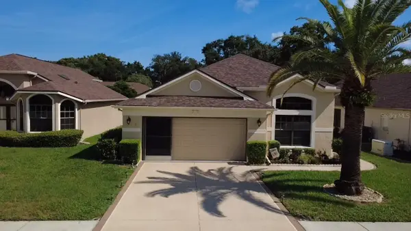 9221 Halberg Drive, HUDSON, FL 34669