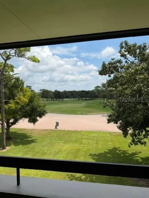 36750 Us Highway 19 N #15305, Palm Harbor, FL 34684 - #3