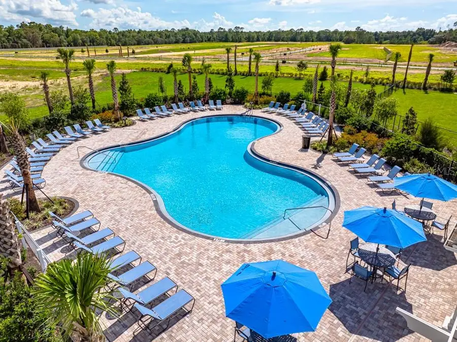13721 Squall Lane, Hudson, FL 34669 - #2