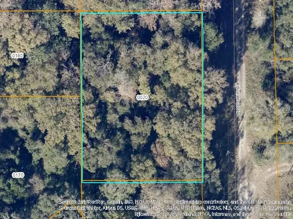 TBD Ridgewood Avenue, DE LEON SPRINGS, FL 32130