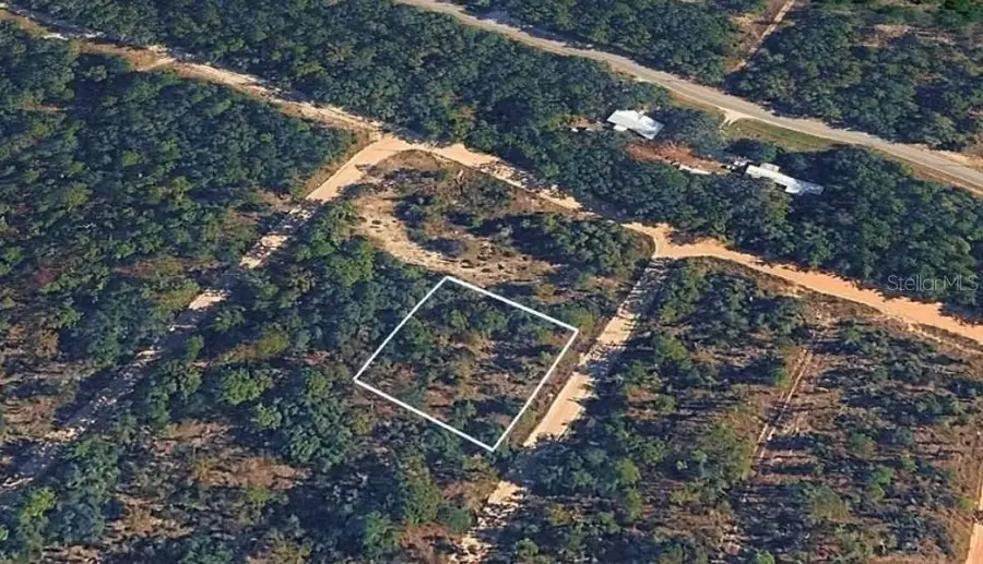 Sandra Lane, Hawthorne, FL 32640 - #2