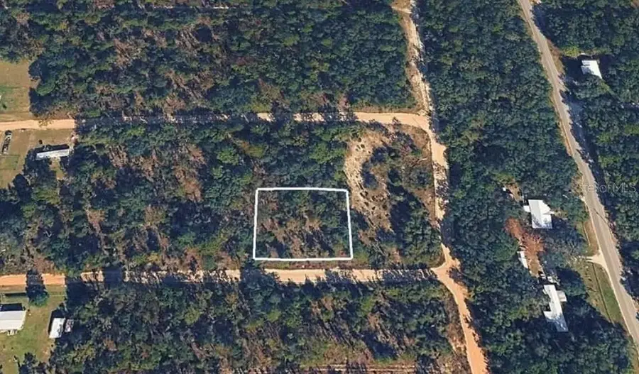 Sandra Lane, Hawthorne, FL 32640 - #3