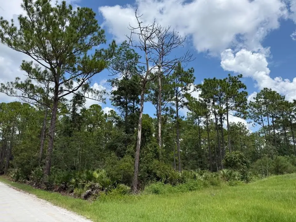 Unassigned East Parkway, Deland, FL 32724 - #1