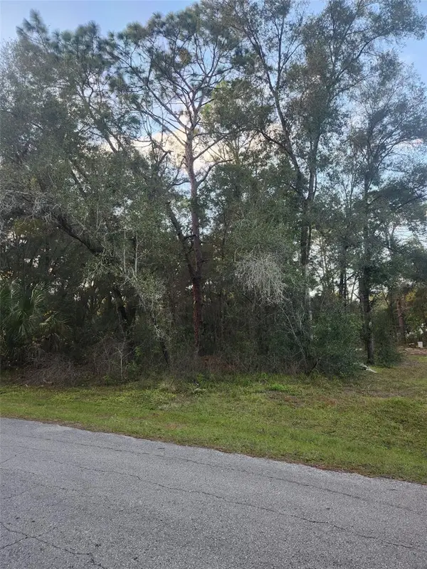 4029 E Walker Street, INVERNESS, FL 34453