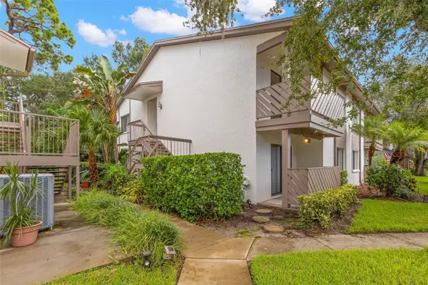 631 Fairmont Avenue #C, SAFETY HARBOR, FL 34695