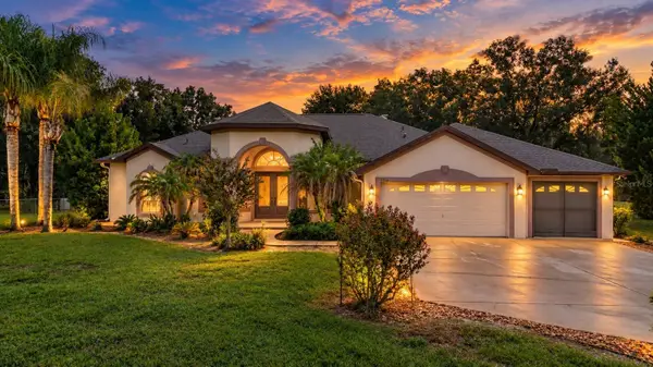7716 Pine Lands Drive, WESLEY CHAPEL, FL 33544