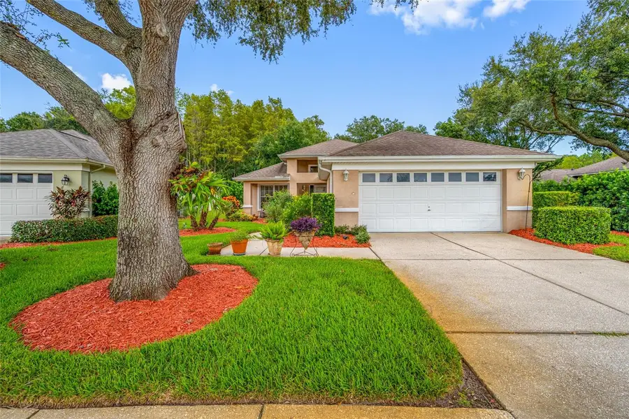 1044 Daleside Lane, New Port Richey, FL 34655 - #2
