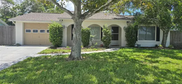 6954 Stone Road, PORT RICHEY, FL 34668