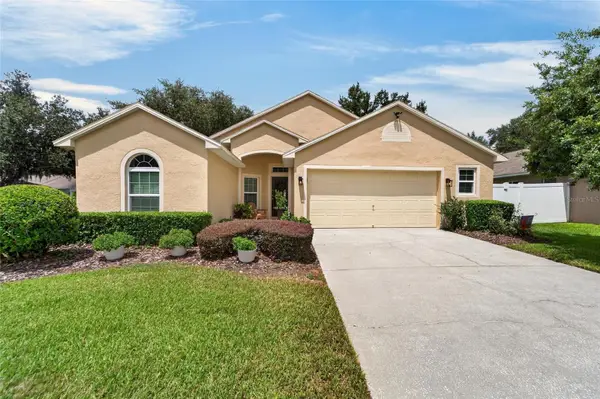 3132 Beaver Pond Trail, VALRICO, FL 33596