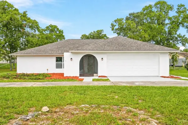 1118 Trinidad Avenue, SPRING HILL, FL 34609