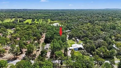 1393 S Candlenut Avenue, Homosassa, FL 34448 - #1