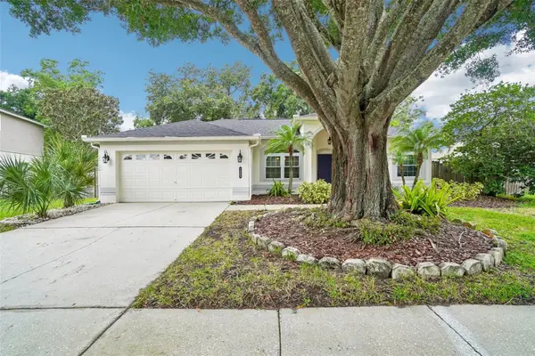 1605 Sand Hollow Lane, VALRICO, FL 33594