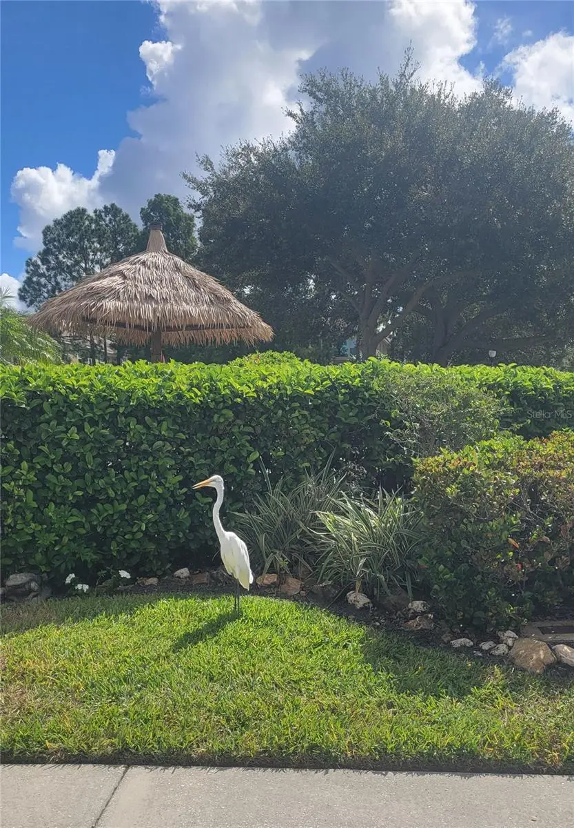 2511 Newbern Drive, Clearwater, FL 33761 - #3