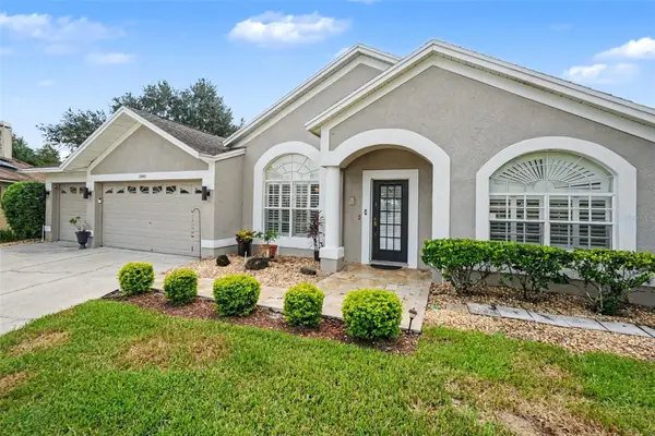 18001 Palm Breeze Drive, TAMPA, FL 33647