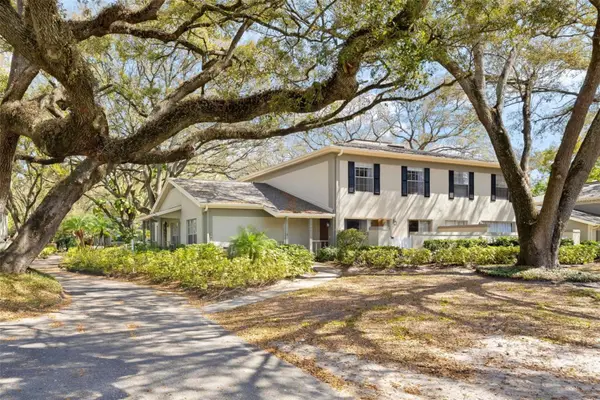 6305 Morningmist Court #6305, TEMPLE TERRACE, FL 33617