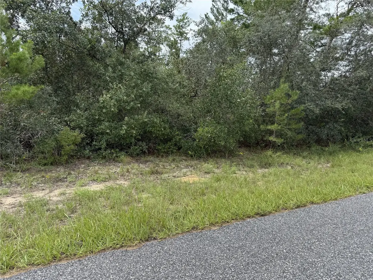 4282 W Thrush Drive, Citrus Springs, FL 34433 - #1