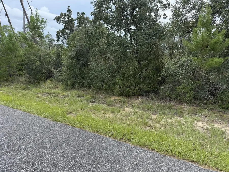 4282 W Thrush Drive, Citrus Springs, FL 34433 - #2