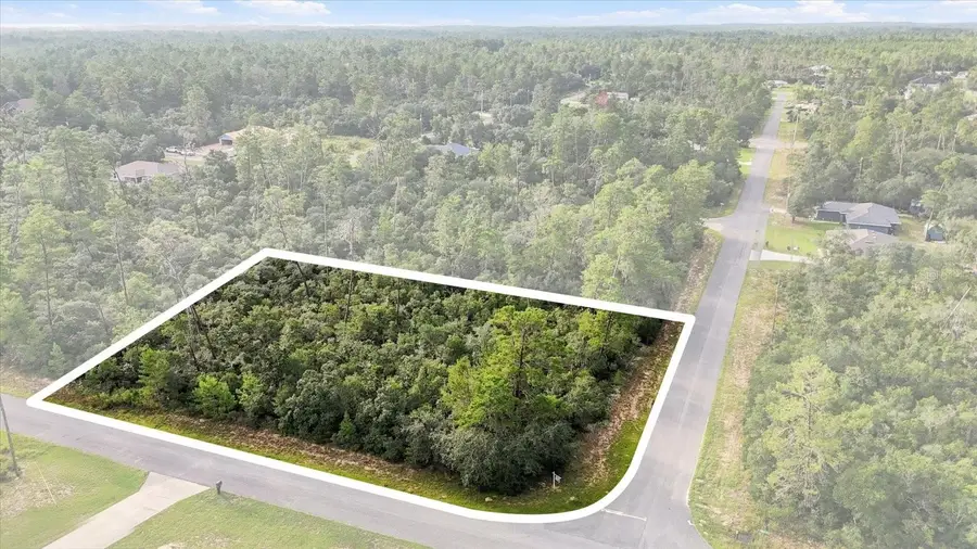 4282 W Thrush Drive, Citrus Springs, FL 34433 - #3