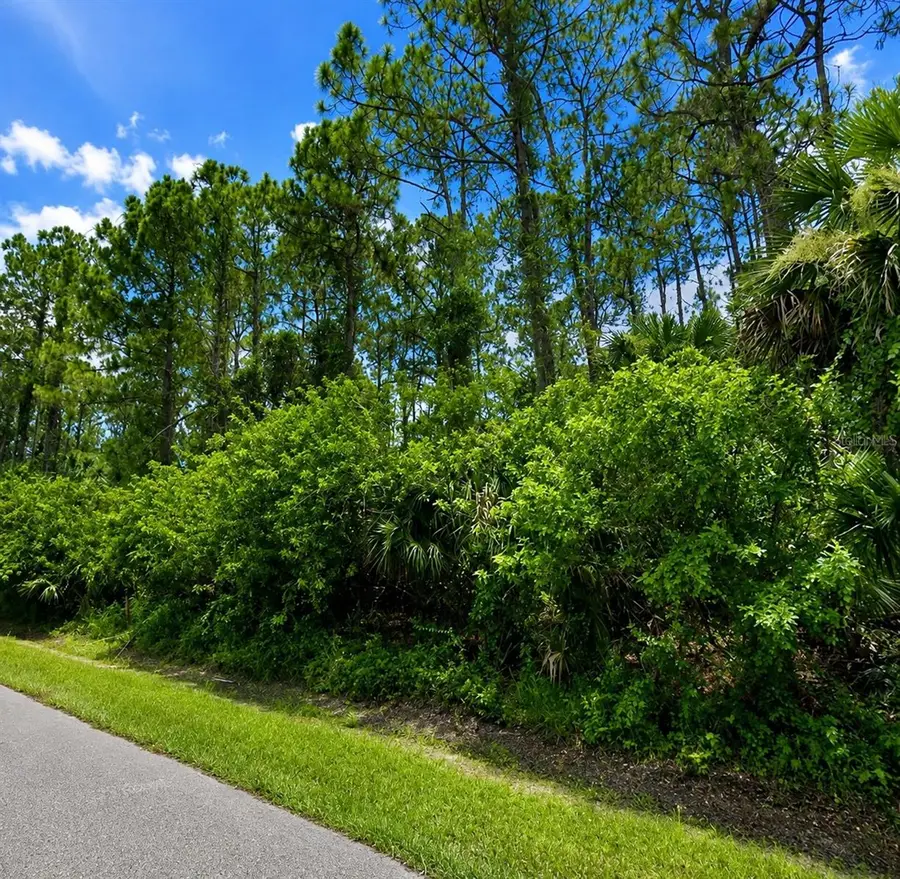 Belladonna Ave, North Port, FL 34286 - #3