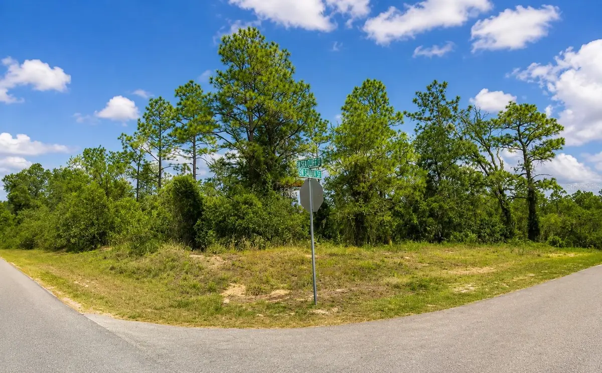 Sw Sea Cliff Ave, Dunnellon, FL 34431 - #1