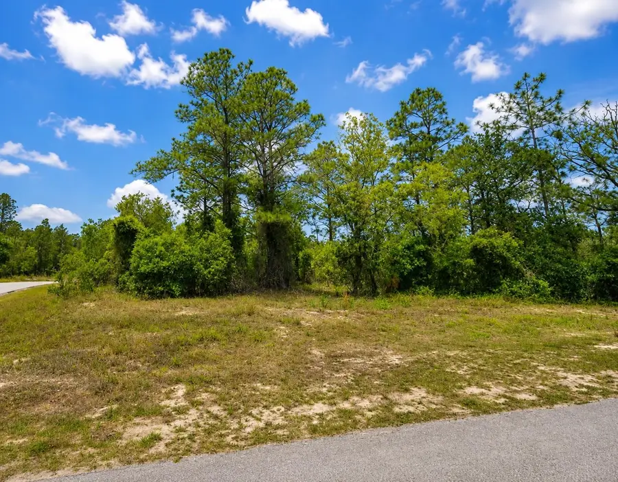 Sw Sea Cliff Ave, Dunnellon, FL 34431 - #3