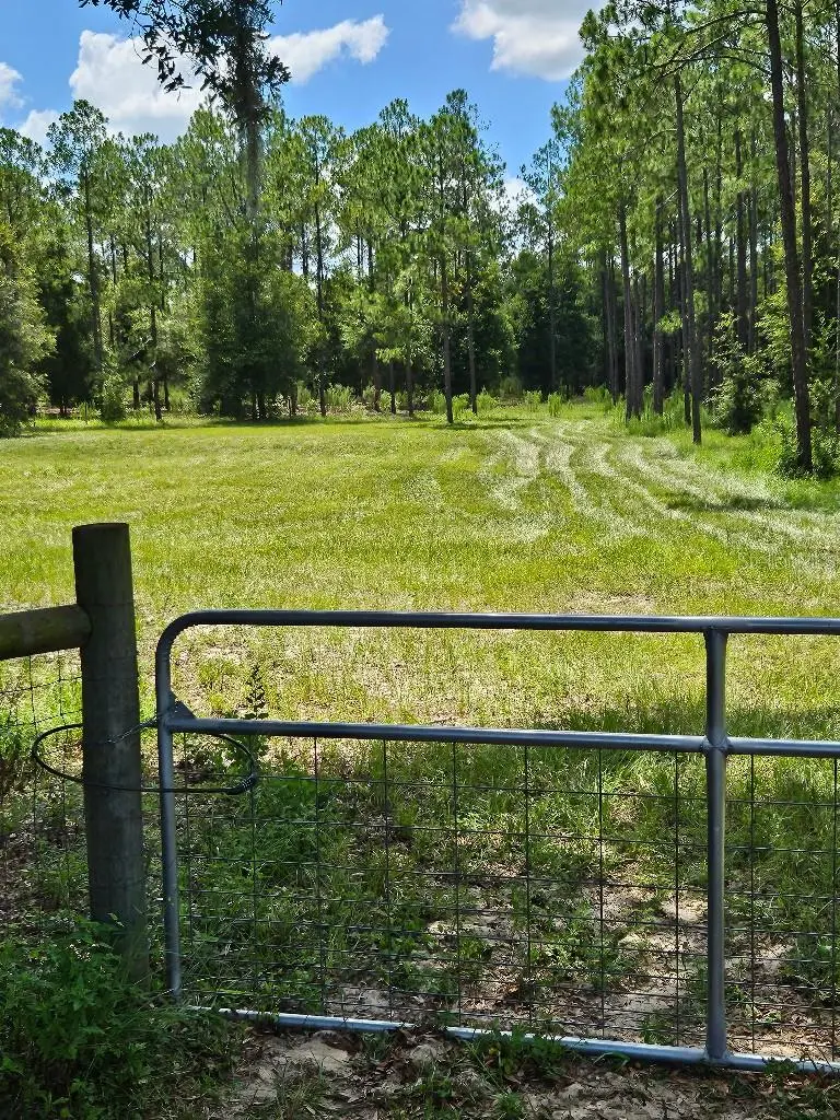 18505 Holloway Lane, Dade City, FL 33523 - #1