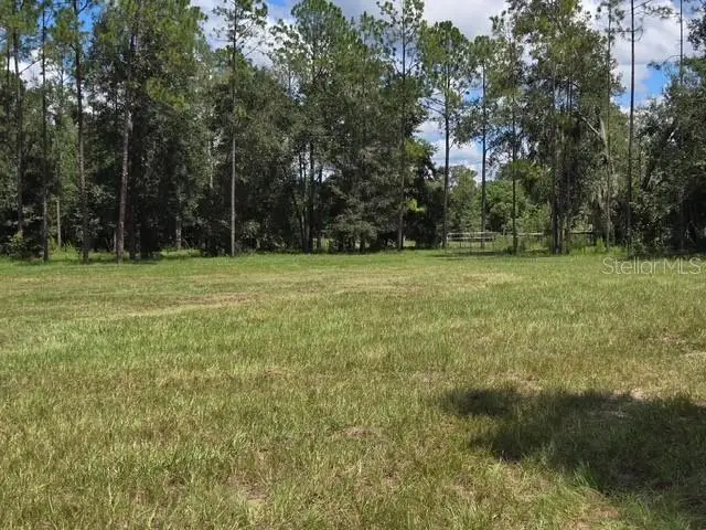 18505 Holloway Lane, Dade City, FL 33523 - #2