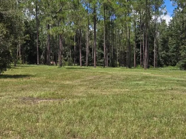 18505 Holloway Lane, Dade City, FL 33523 - #3