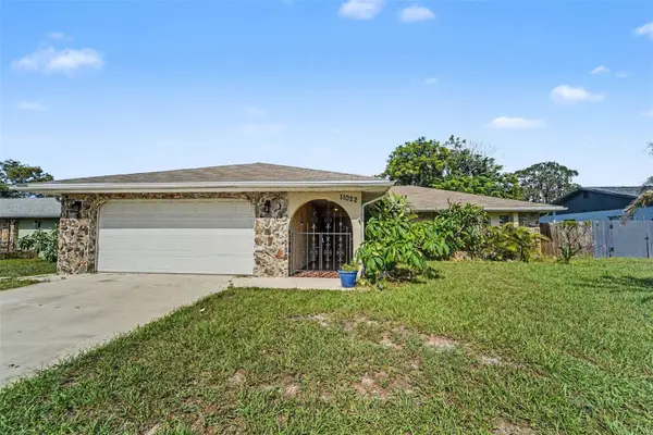 11022 Salt Tree Drive, PORT RICHEY, FL 34668
