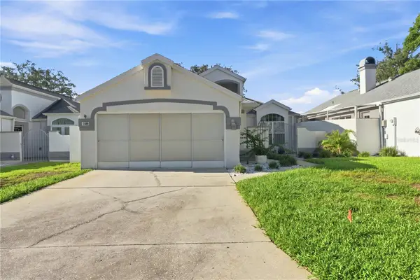 11008 Casa Grande Circle, SPRING HILL, FL 34608