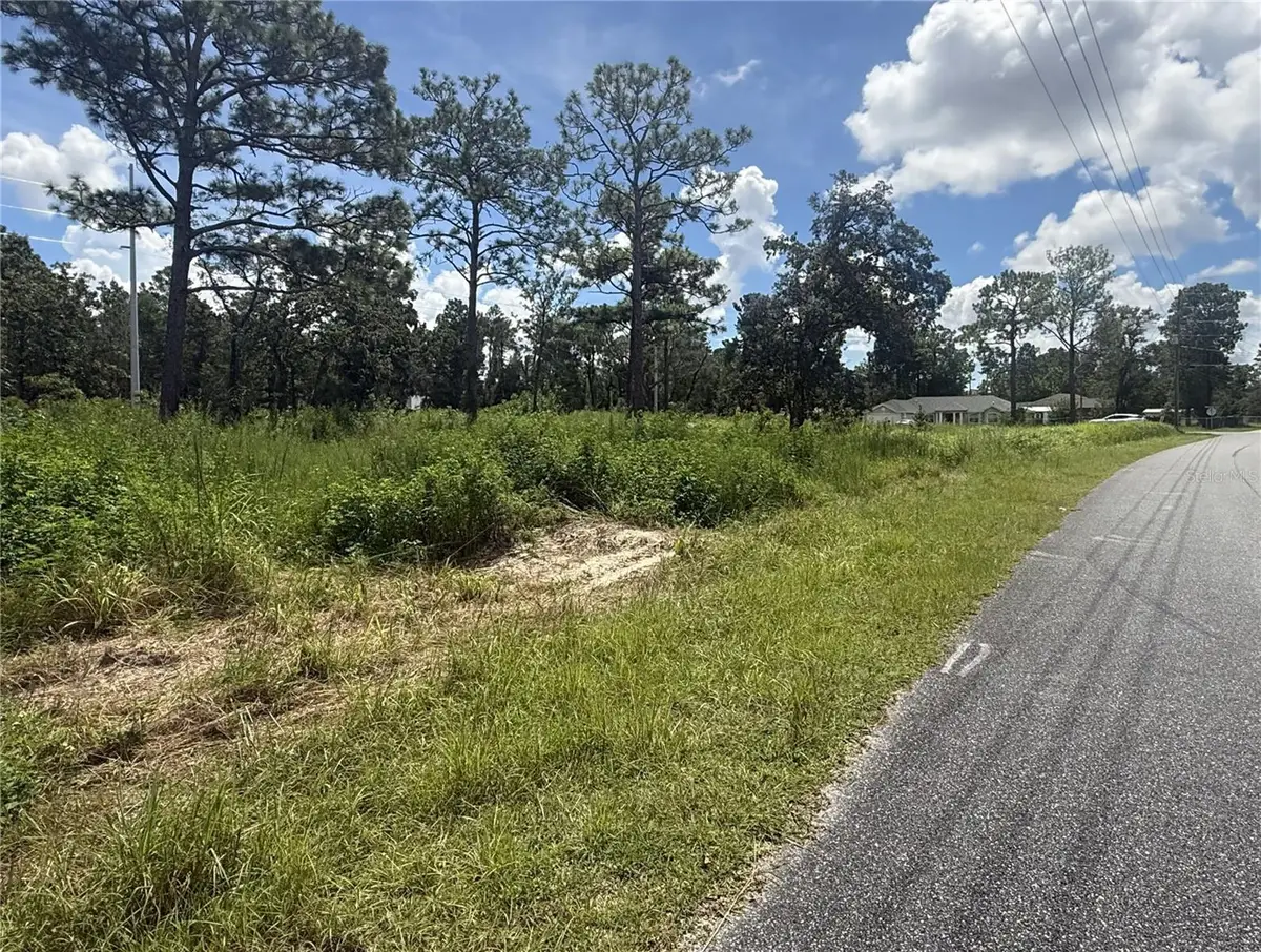 12220 Marvelwood Road, Weeki Wachee, FL 34614 - #1