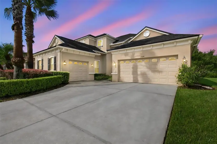 3339 Diamond Falls Circle, Land O Lakes, FL 34638 - #3