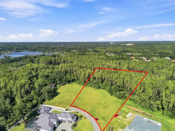 289 Magnolia Acres Court, LUTZ, FL 33548