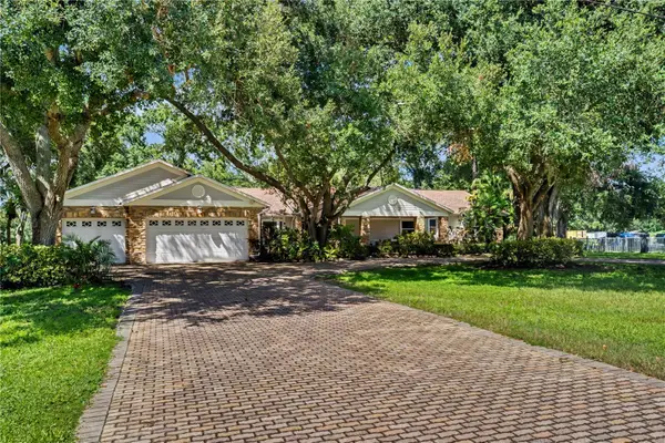 12511 Palomino Court, TAMPA, FL 33626