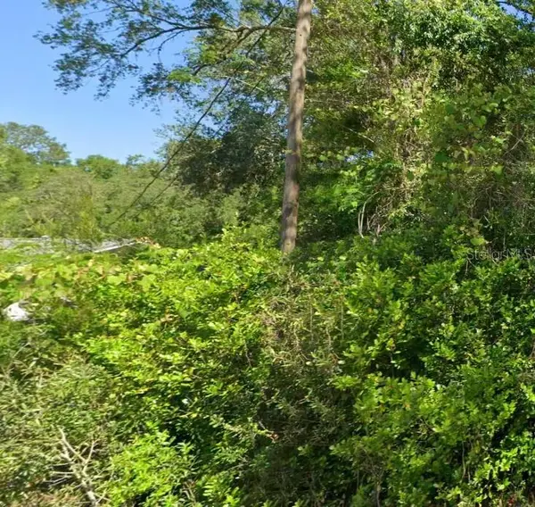 19667 Flamingo Drive, DUNNELLON, FL 34431