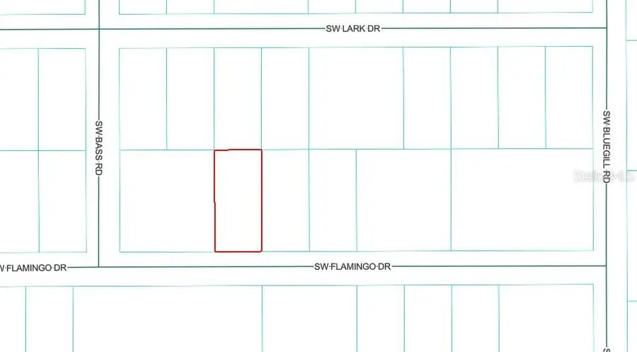 19667 Flamingo Drive, Dunnellon, FL 34431 - #2