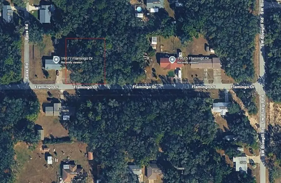 19667 Flamingo Drive, Dunnellon, FL 34431 - #3