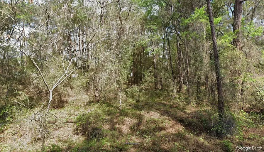 14525 SW 21st Place, Ocala, FL 34481 - #2