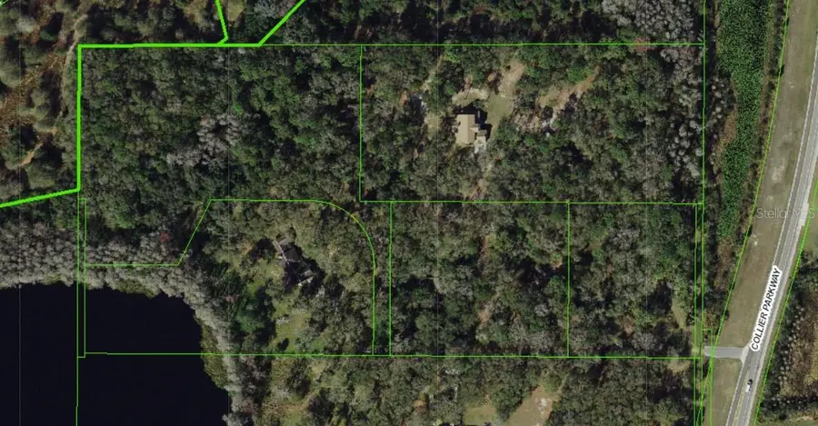 5135 Collier Parkway, Land O Lakes, FL 34639 - #2