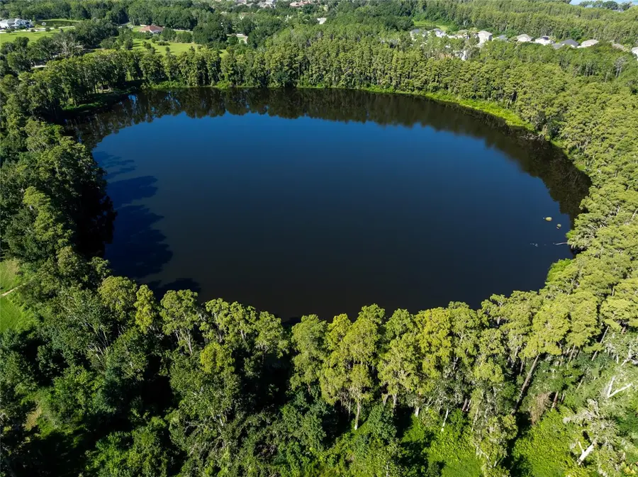 5135 Collier Parkway, Land O Lakes, FL 34639 - #3