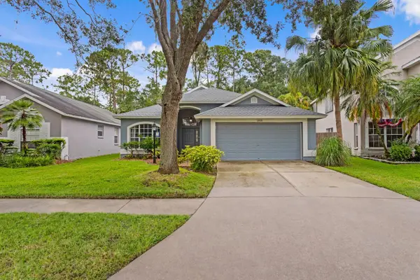 10420 Springrose Drive, TAMPA, FL 33626