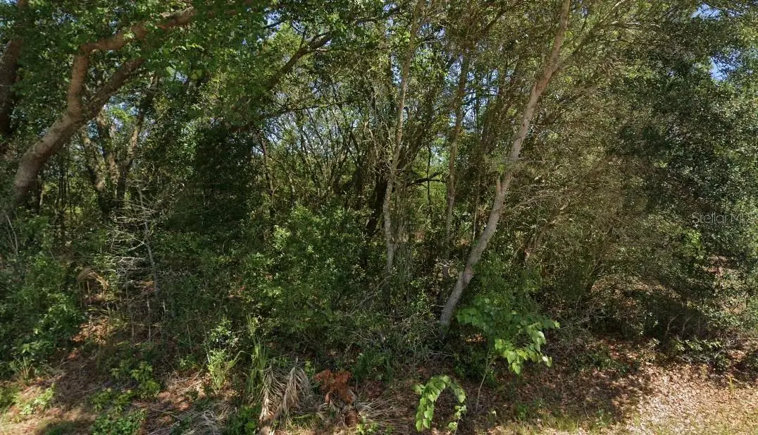 19901 Flamingo Drive, Dunnellon, FL 34431 - #1