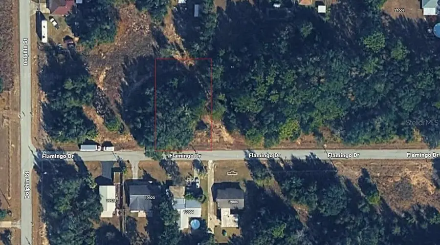 19901 Flamingo Drive, Dunnellon, FL 34431 - #3