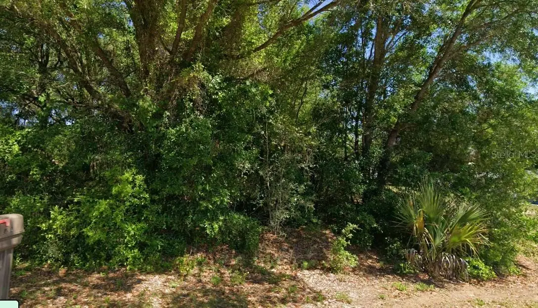 19801 Flamingo Drive, Dunnellon, FL 34431 - #1