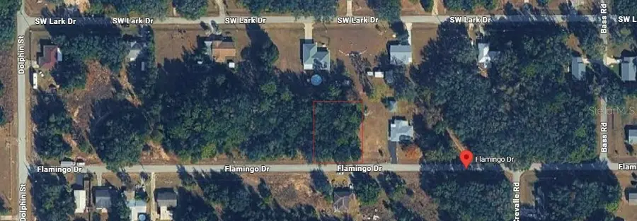 19801 Flamingo Drive, Dunnellon, FL 34431 - #2