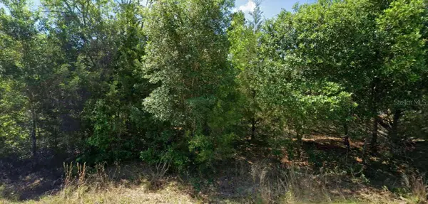 20120 Mariner Boulevard, DUNNELLON, FL 34431