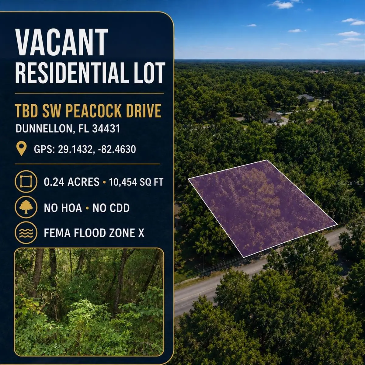SW Peacock Drive, Dunnellon, FL 34431 - #1