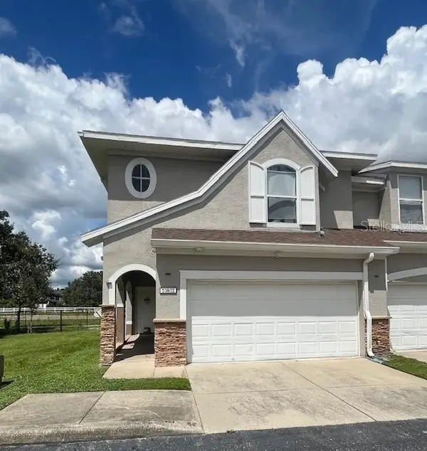 10802 Celtic Woods Avenue, TAMPA, FL 33647