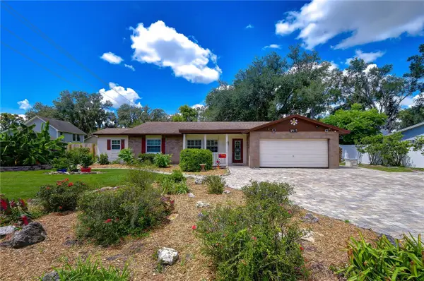 3917 King Drive, BRANDON, FL 33511
