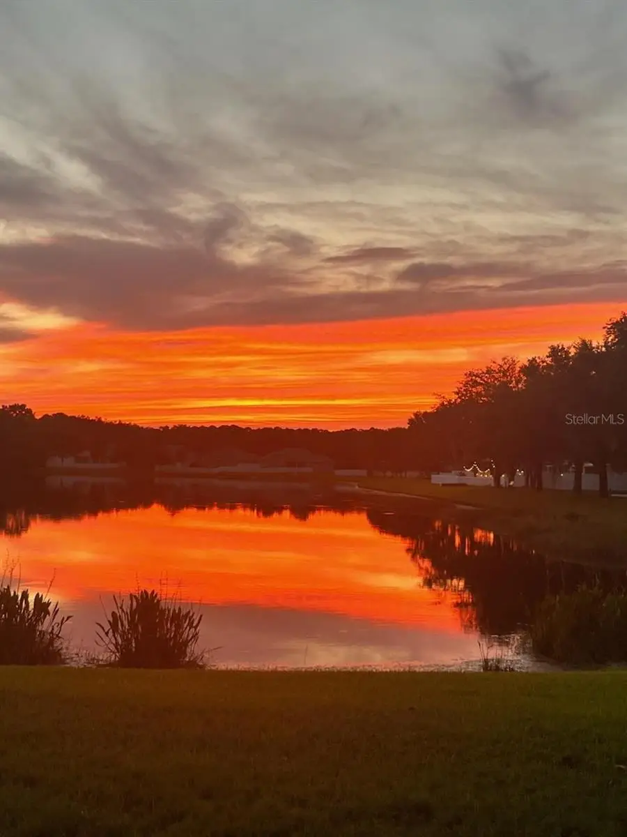 18022 Lake Reflections Boulevard, Lutz, FL 33558 - #2